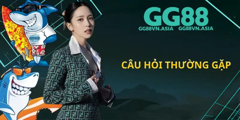 Câu Hỏi Thường Gặp